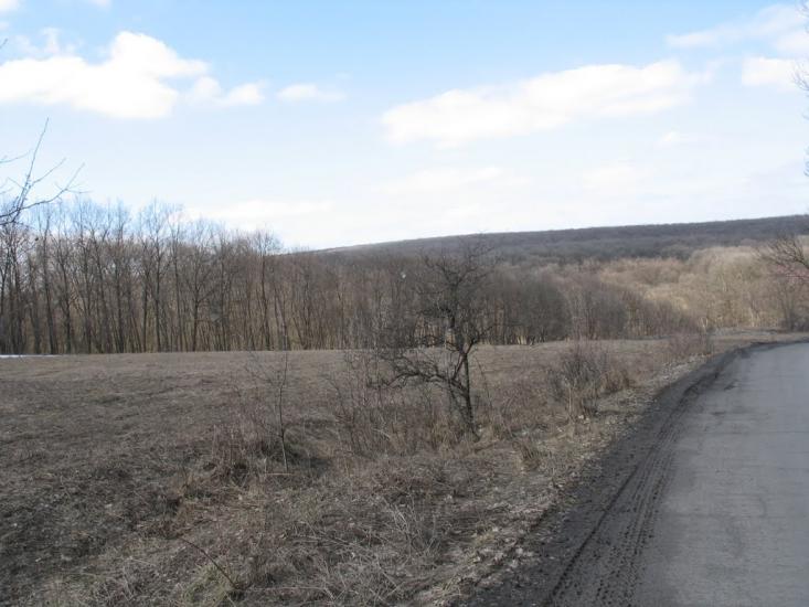 Сєверне з panoramio.com - Syeverne