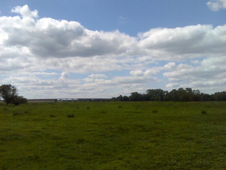 Пирогівка з panoramio.com - Пироговка