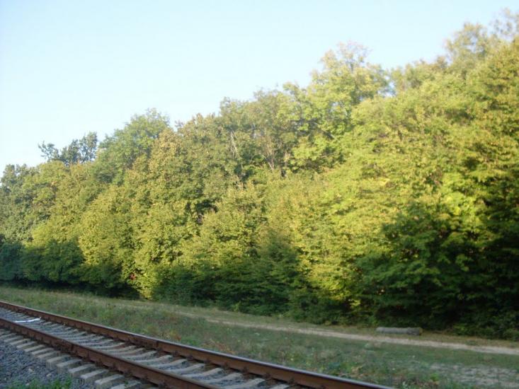 Шура-Мітлинецька з panoramio.com - Шура-Метлинецкая