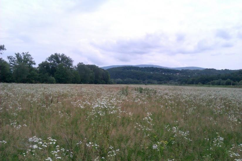 Оноківці з panoramio.com - Оноківці