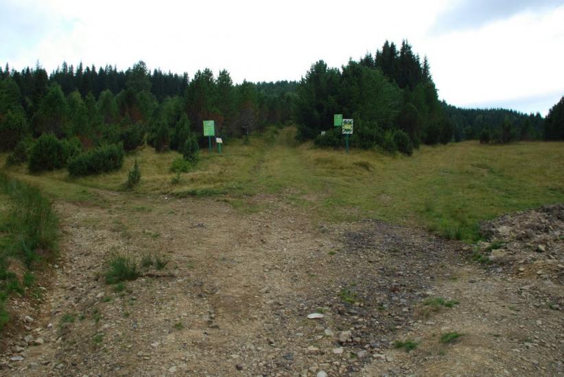 Згари з panoramio.com - Згари