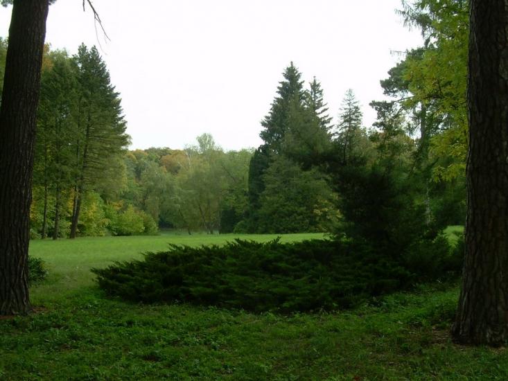Васьківці з panoramio.com - Васьківці