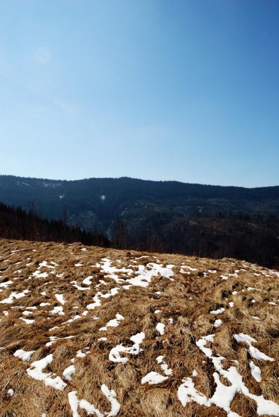 Букове з panoramio.com - Букове