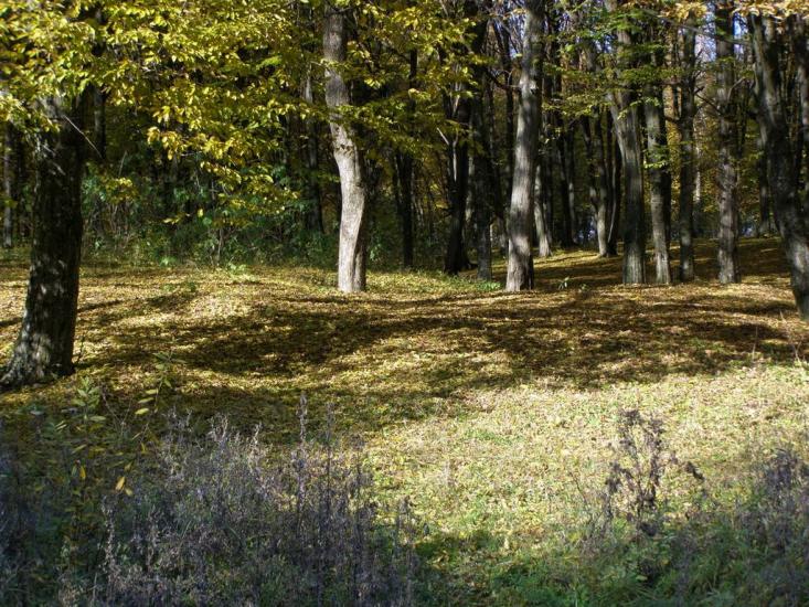 Віньківці з panoramio.com - Віньківці