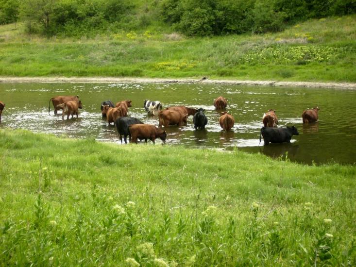 Сартана з panoramio.com - Сартана