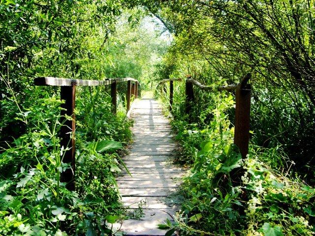 Митків з panoramio.com - Митків