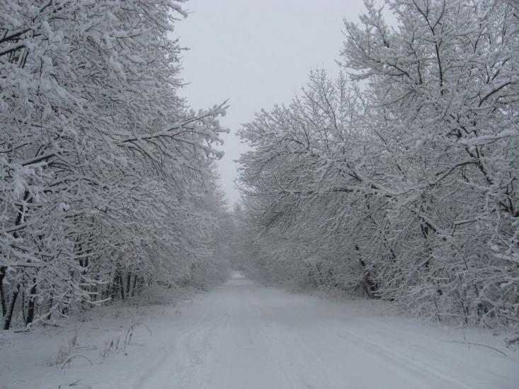 Гоголеве з panoramio.com - Гоголеве