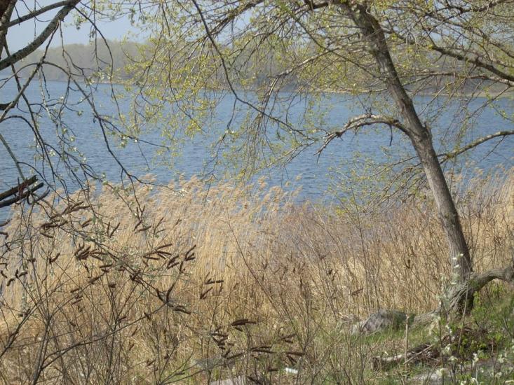 Власівка з panoramio.com - Власовка