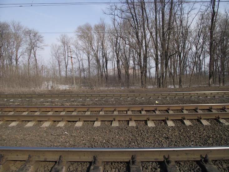 Карло-Марксове з panoramio.com - Карло-Марксове