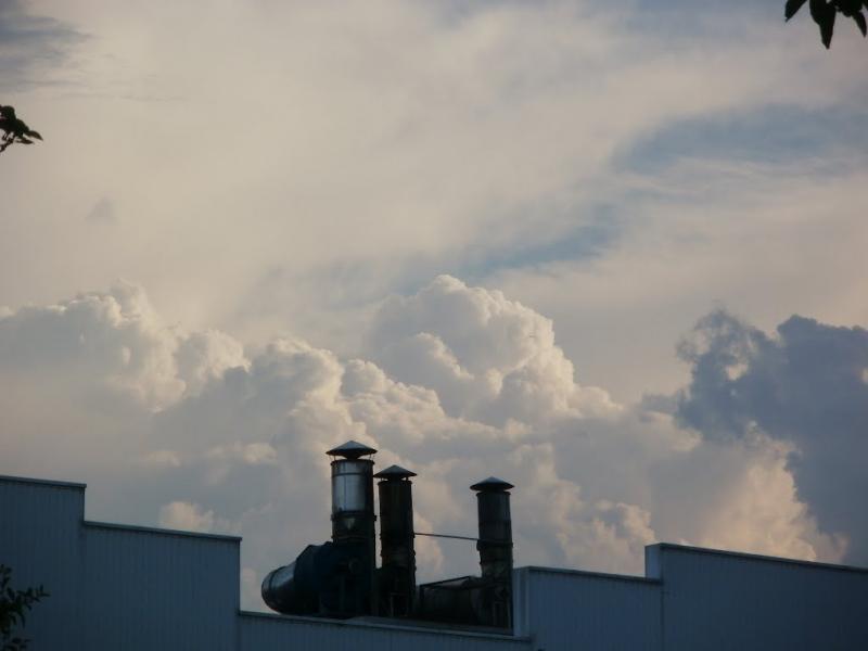 Полонка з panoramio.com - Полонка