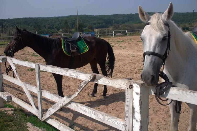 Бистре з panoramio.com - Быстрое