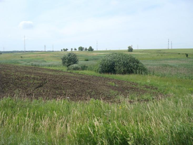 Шумівці з panoramio.com - Шумовцы