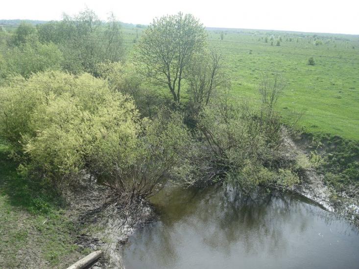 Шевченка з panoramio.com - Shevchenka