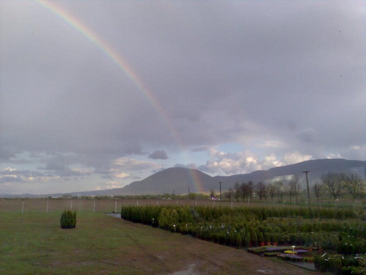 Руське Поле з panoramio.com - Русское Поле