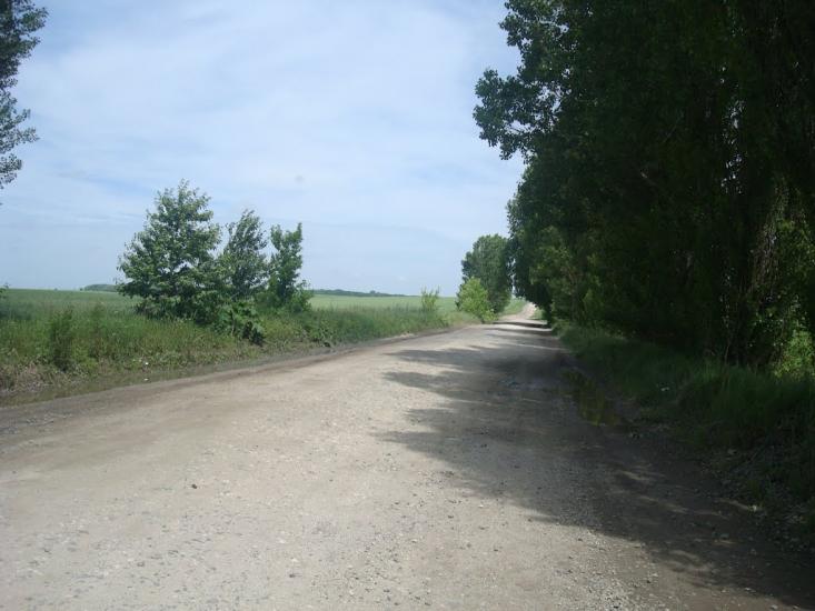 Черепова з panoramio.com - Черепова