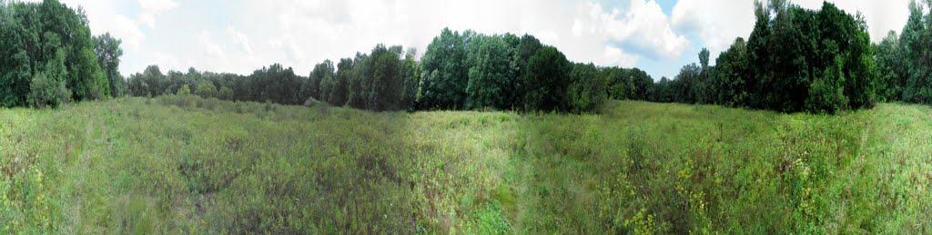 Платонівка з panoramio.com - Платоновка