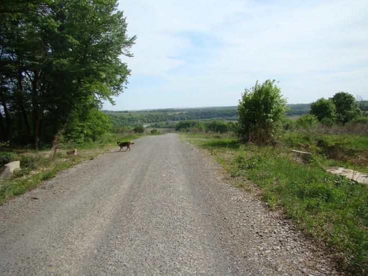 Іванківці з panoramio.com - Иванковцы