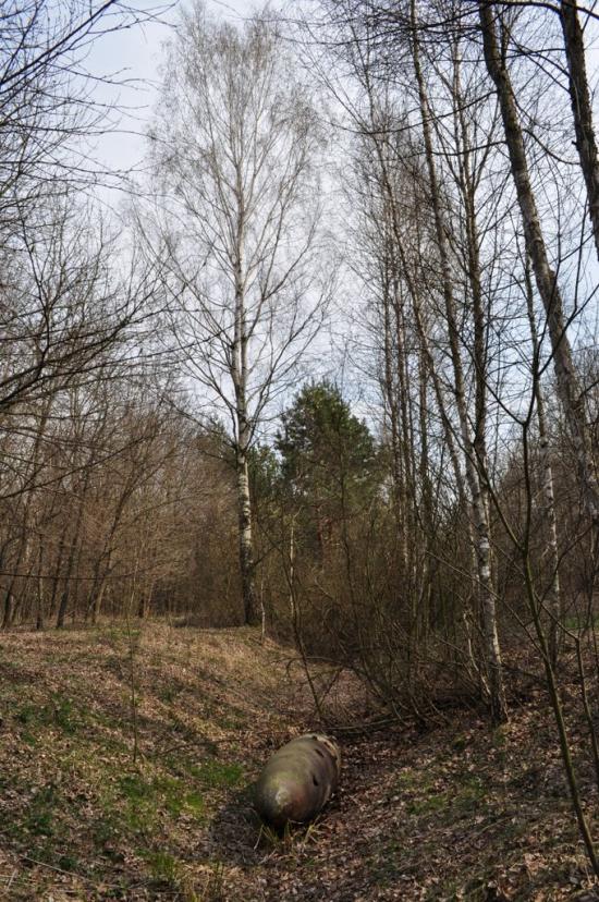 Торф'яне з panoramio.com - Торфяное