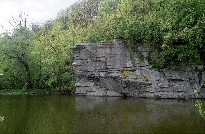 Буки з panoramio.com - Буки