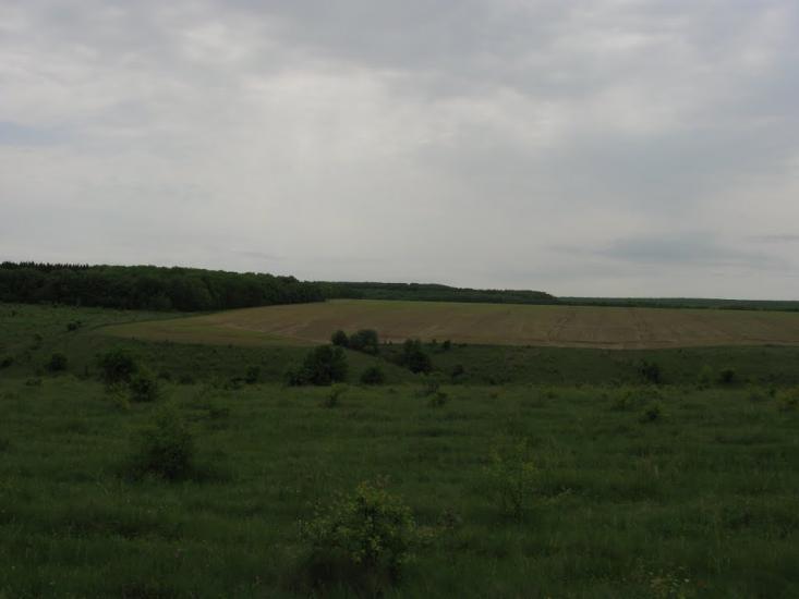 Жерденівка з panoramio.com - Жерденівка