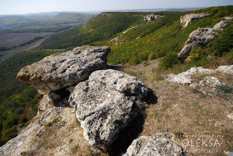 Партизанське з panoramio.com - Партизанське