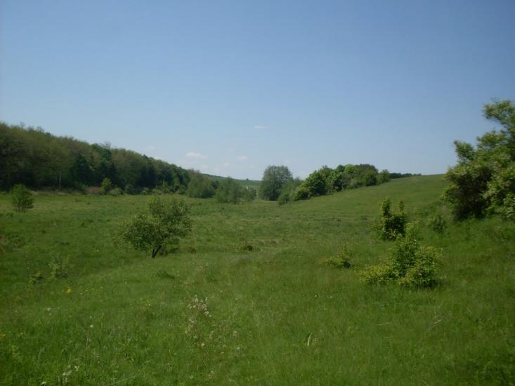 Млинки з panoramio.com - Млынки