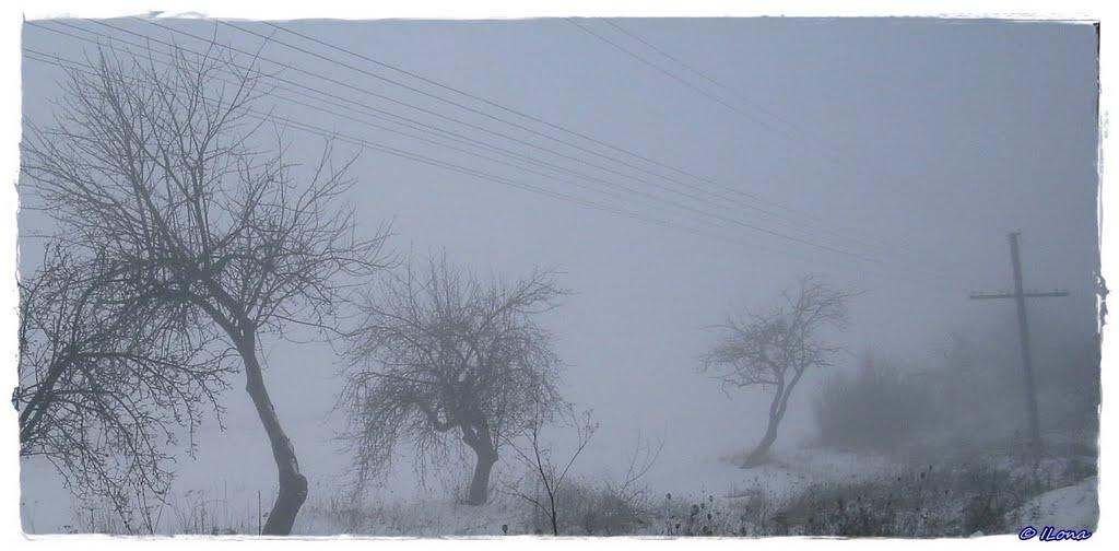 Дерцен з panoramio.com - Dertsen