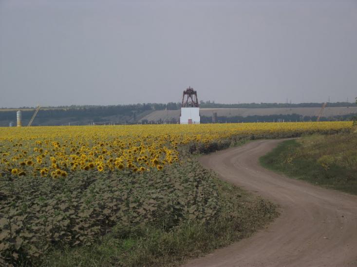 Звірове з panoramio.com - Зверево