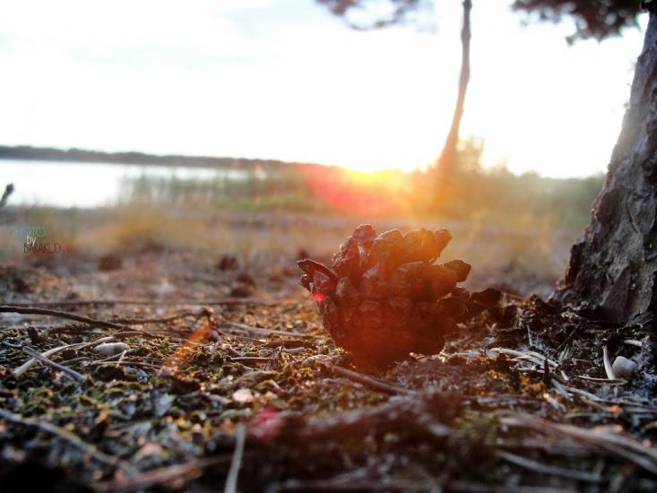 Під'язівні з panoramio.com - Під'язівні