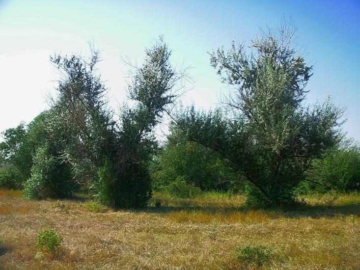 Поштове з panoramio.com - Поштове