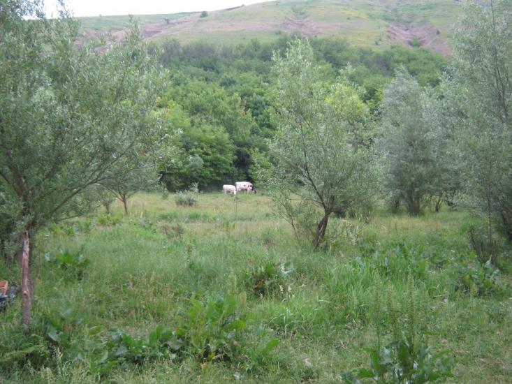 Сокілець з panoramio.com - Соколец