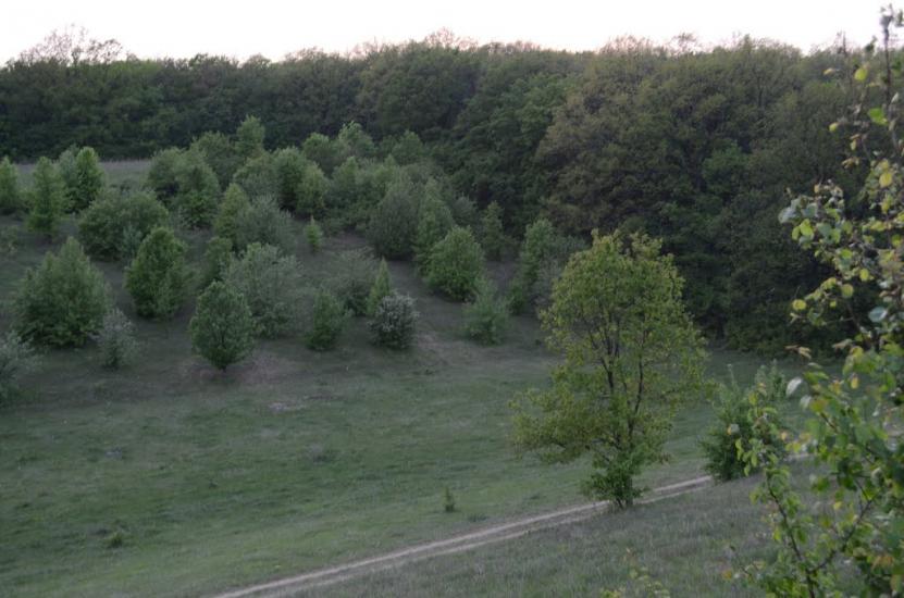 Замірці з panoramio.com - Замірці