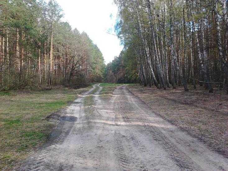 Долина з panoramio.com - Долина