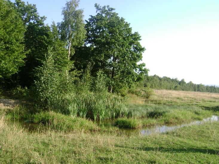 Монастирчани з panoramio.com - Монастирчани