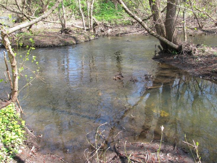 Буринь з panoramio.com - Буринь