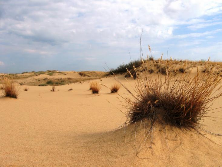 Раденськ з panoramio.com - Раденск