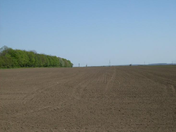 Куна з panoramio.com - Kuna