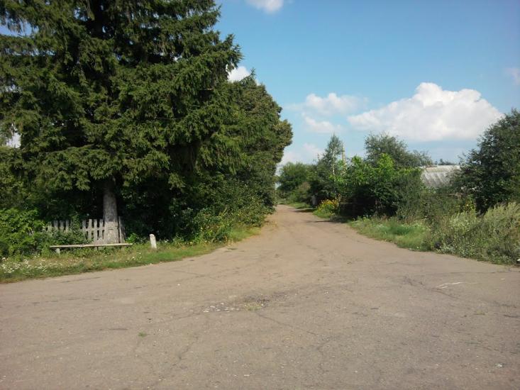 Терехівка з panoramio.com - Тереховка