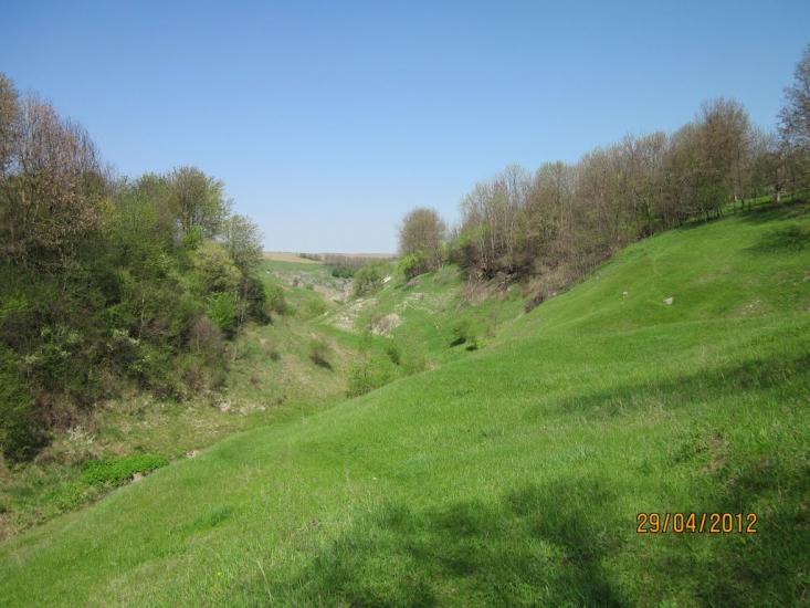 Бабин з panoramio.com - Babyn