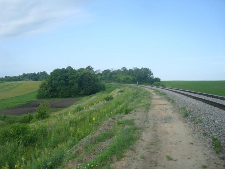 Чотирбоки з panoramio.com - Чотирбоки