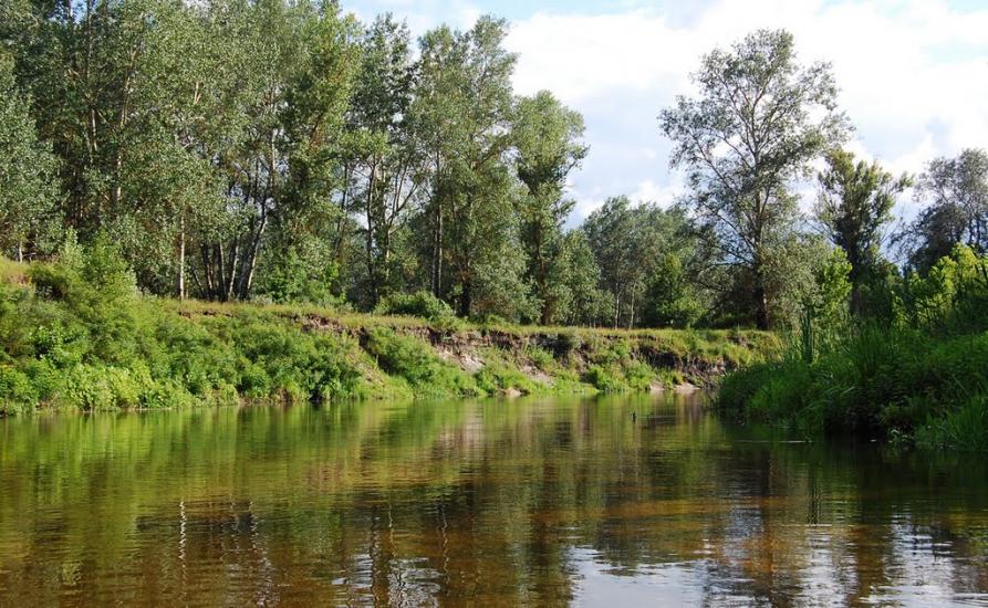 Кардашівка з panoramio.com - Кардашовка