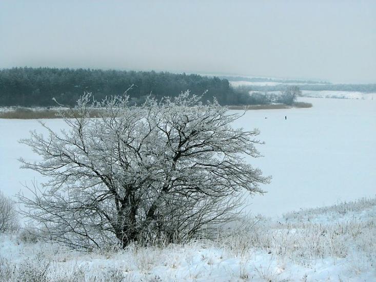 Каплани з panoramio.com - Капланы