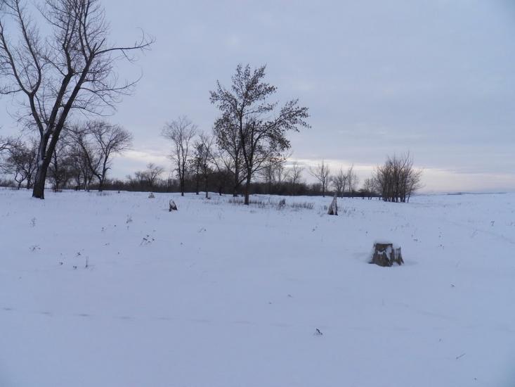 Комуна з panoramio.com - Комуна