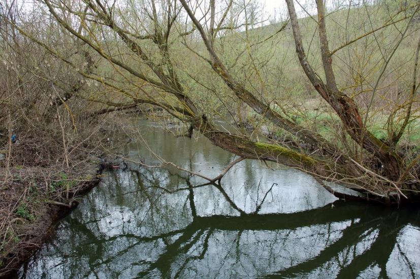 Сокілець з panoramio.com - Соколец
