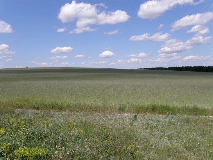 Пришиб з panoramio.com - Пришиб