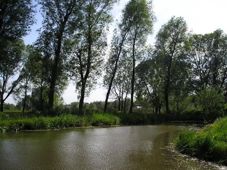 Черкаська Лозова з panoramio.com - Черкасская Лозовая