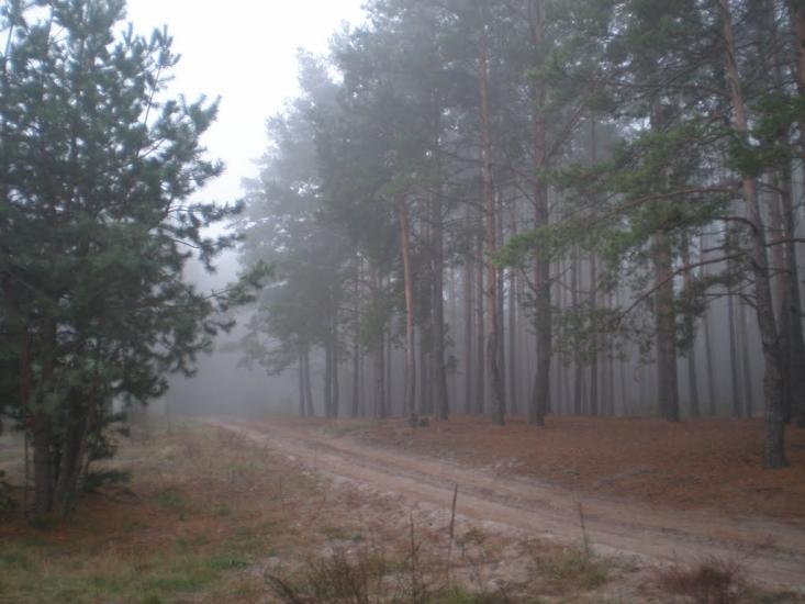 Нова Буда з panoramio.com - Новая Буда