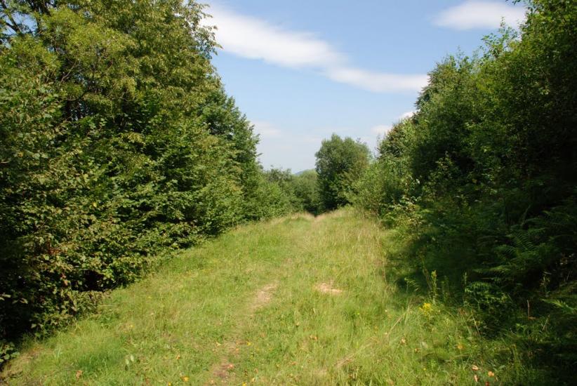 Тишівниця з panoramio.com - Тишівниця