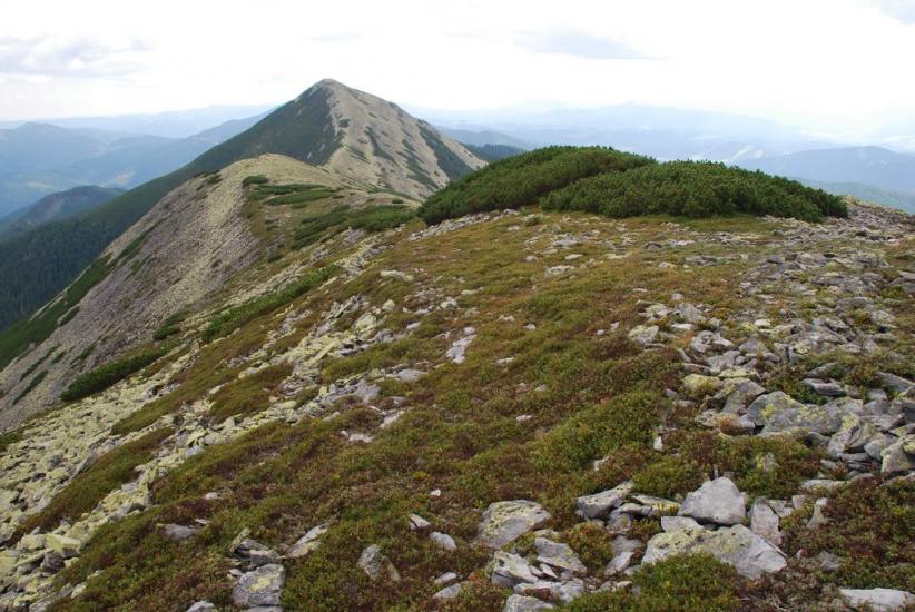 Черник з panoramio.com - Черник