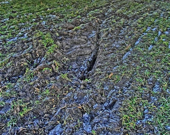 Сургани з panoramio.com - Сургани